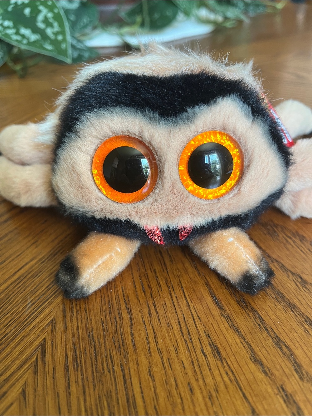 Ty Beanie Baby Boo GODFREY the Halloween Spider NWT
